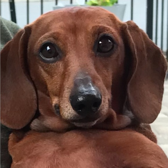 Flyer-please like to be notified!
$10 minimum - Picture 5 of 5